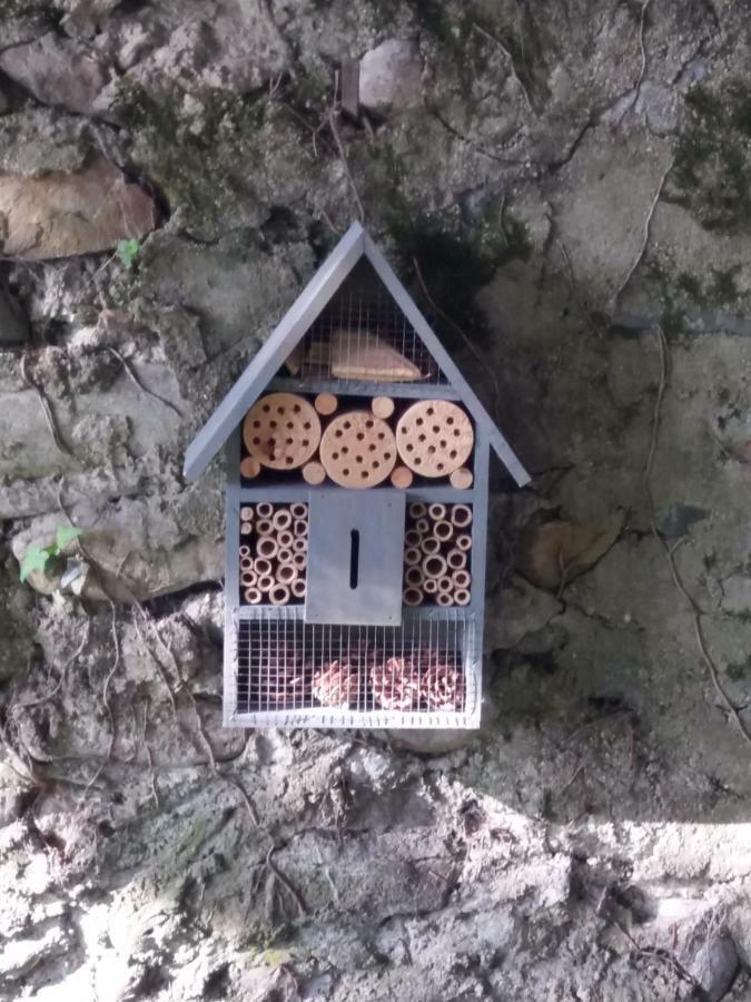 Les Copains D'Abord Villa Beaucroissant Exterior photo